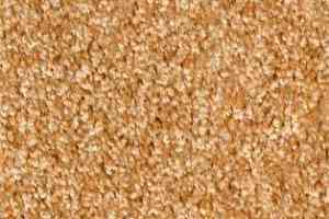 Ковролин AW Silence 38 фото  | FLOORDEALER