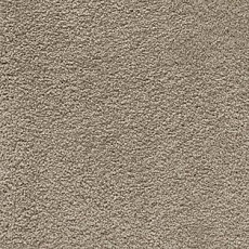 Ковролин AW Softissimo 39 фото 1 | FLOORDEALER