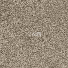Ковролин AW Softissimo 39 фото 1 | FLOORDEALER