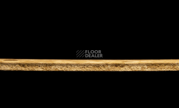 Tarkett Primo Plus 303 фото 3 | FLOORDEALER