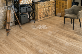 Alpine Floor Easy Line 3мм Камфора ЕСО 3-31 фото 3 | FLOORDEALER