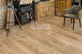 Alpine Floor Easy Line 3мм Камфора ЕСО 3-31 фото 3 | FLOORDEALER