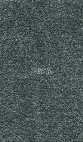 Ковролин AW Tossa 72 фото 1 | FLOORDEALER