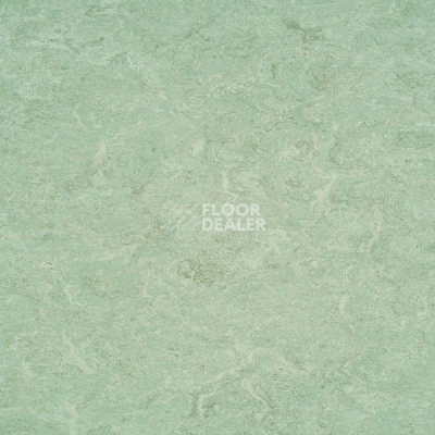 Линолеум Marmorette DLW 2.5mm 121-020 фото 1 | FLOORDEALER