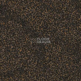 Ковролин Forbo Forte Graphic Rice 97105 фото 1 | FLOORDEALER