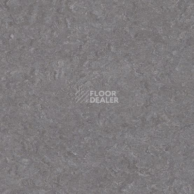Линолеум Marmorette DLW 2.5mm 0050 Quartz Grey фото 1 | FLOORDEALER