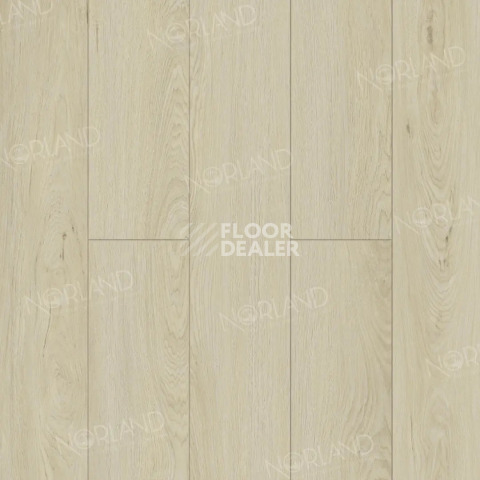 Ламинат Norland Elegant 8мм Дуб Малуку LF301-02 фото 1 | FLOORDEALER