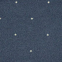 Ковролин Big Fidenza 896  | FLOORDEALER