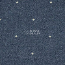 Ковролин Big Fidenza 896 фото 1 | FLOORDEALER