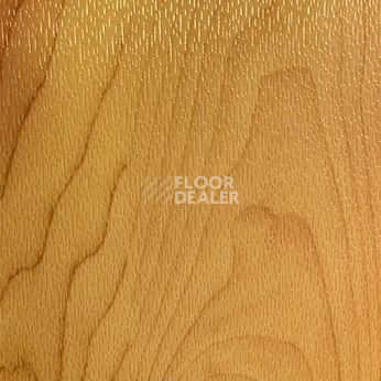 Линолеум Desoma Sport Universal 6.5 Wood 0607f Maple фото 1 | FLOORDEALER