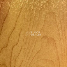 Линолеум Desoma Sport Universal 6.5 Wood 0607f Maple фото 1 | FLOORDEALER