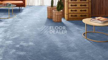 Vorwerk Exclusive 1060 Safira 3q44 фото 2 | FLOORDEALER