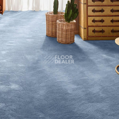 Vorwerk Exclusive 1060 Safira 3q44 фото 2 | FLOORDEALER