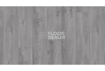 Kronotex Mammut d3670 Дуб Макро Светло-серый фото 2 | FLOORDEALER