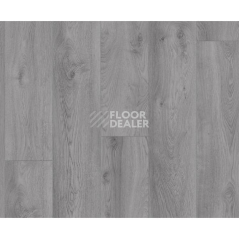 Kronotex Mammut d3670 Дуб Макро Светло-серый фото 2 | FLOORDEALER