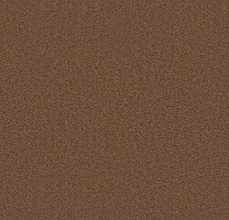 Ковролин Forbo Showtime Nuance 900244 фото 1 | FLOORDEALER