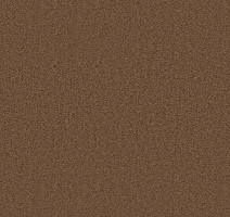 Ковролин Forbo Showtime Nuance 900244 фото 1 | FLOORDEALER