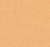 Линолеум Novoflor Extra Comfort 2015-7 фото 1 | FLOORDEALER