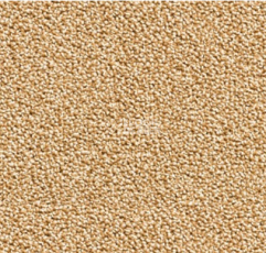 Ковролин Condor Traffic Traffic 17 фото 1 | FLOORDEALER