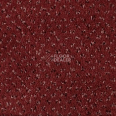 Ковролин Sintelon Orion 74839 фото 1 | FLOORDEALER