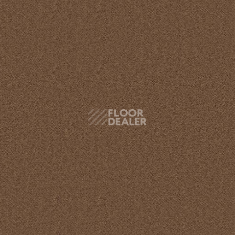 Ковролин Forbo Showtime Nuance 900244 фото 1 | FLOORDEALER