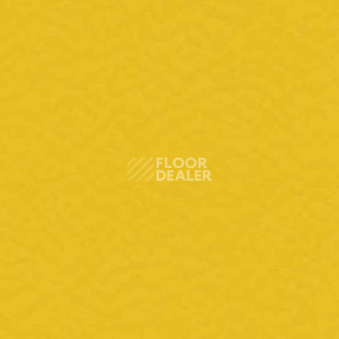 Линолеум Gerflor Taraflex evolution Uni 6211_Gold фото 1 | FLOORDEALER