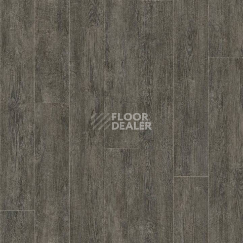 Линолеум Tarkett Evolution Vancouver 5 фото 1 | FLOORDEALER