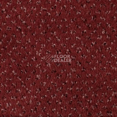 Ковролин Sintelon Orion 74839 фото 1 | FLOORDEALER