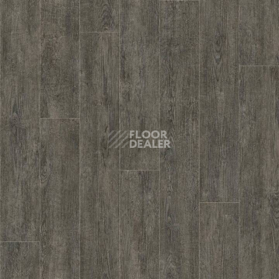 Линолеум Tarkett Evolution Vancouver 5 фото 1 | FLOORDEALER