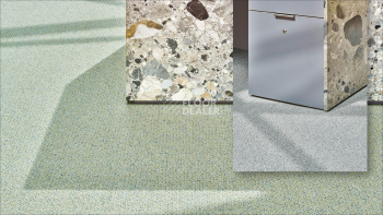 Desso Solid ac 73 1321 v фото 4 | FLOORDEALER