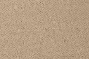 Ковролин Vorwerk Passion 1006 Vorwerk 1m20 фото  | FLOORDEALER