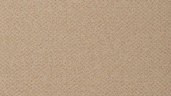 Ковролин Vorwerk Passion 1006 Vorwerk 1m20 фото 1 | FLOORDEALER