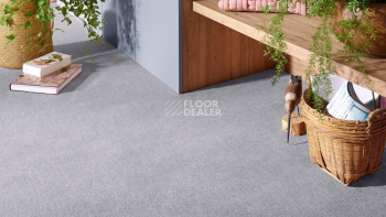 Vorwerk Superior 1072/Nutria Comfort Vorwerk 5x62 фото 2 | FLOORDEALER