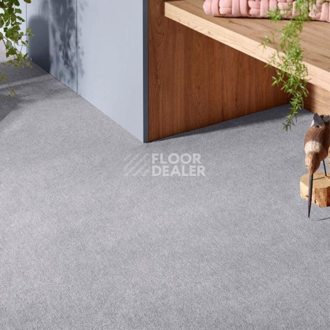 Vorwerk Superior 1072/Nutria Comfort Vorwerk 5x62 фото 2 | FLOORDEALER