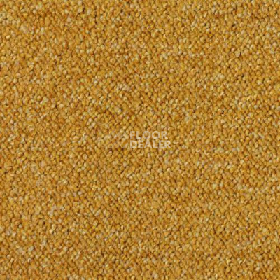 Ковровая плитка Desso Pallas 6003 фото 1 | FLOORDEALER