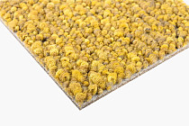 Desso Recharge ac 41 6218 фото 8 | FLOORDEALER