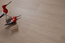 Evofloor Optima Click 4.2мм Дуб Гавана фото 6 | FLOORDEALER