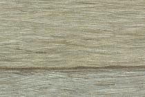 Линолеум Forbo Emerald Wood Fr 8702 фото 1 | FLOORDEALER