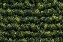 Art Intervention Коллекция Creative Spark Creative Spark 621 фото 5 | FLOORDEALER