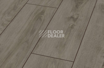 Ламинат My Floor Chalet 10мм m1020 фото 1 | FLOORDEALER