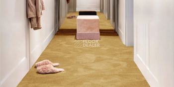 AW Superbe 54 фото 2 | FLOORDEALER