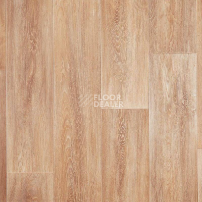 Линолеум Tarkett Лин П-К 32-3,4 ДУБ ЛАВАРДИН фото 1 | FLOORDEALER