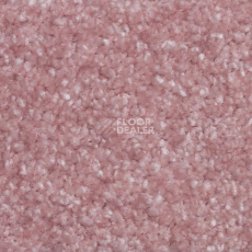 Ковролин AW Masquerade Certosa 60 фото 1 | FLOORDEALER