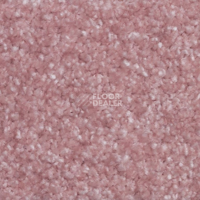 Ковролин AW Masquerade Certosa 60 фото 1 | FLOORDEALER