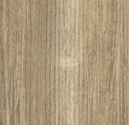 Кварцвиниловые полы Forbo Effekta Professional 0.8 мм 8011 P Планка фото 1 | FLOORDEALER