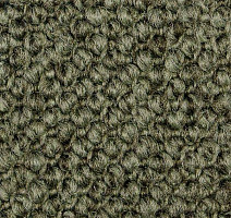 Ковролин Carpet Concept Eco Cut 60275 фото 1 | FLOORDEALER