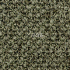 Ковролин Carpet Concept Eco Cut 60275 фото 1 | FLOORDEALER