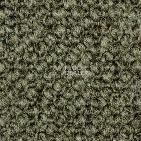 Ковролин Carpet Concept Eco Cut 60275 фото 1 | FLOORDEALER