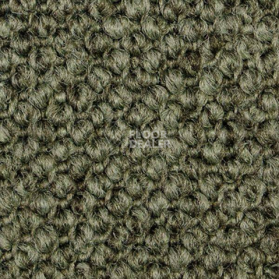Ковролин Carpet Concept Eco Cut 60275 фото 1 | FLOORDEALER