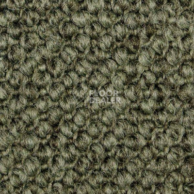 Ковролин Carpet Concept Eco Cut 60275 фото 1 | FLOORDEALER